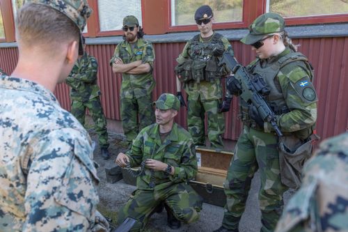 Wehrpflicht-Debatte: Modell Schweden bevorzugt